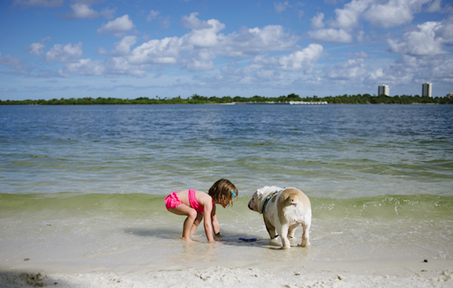 Friendship-Between-a-Young-Girl-and-a-dog-19