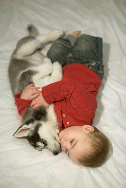 baby-hug-dog