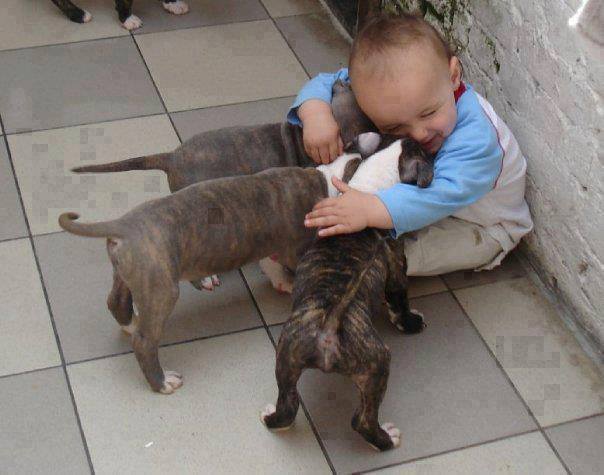 baby-hug-dogs