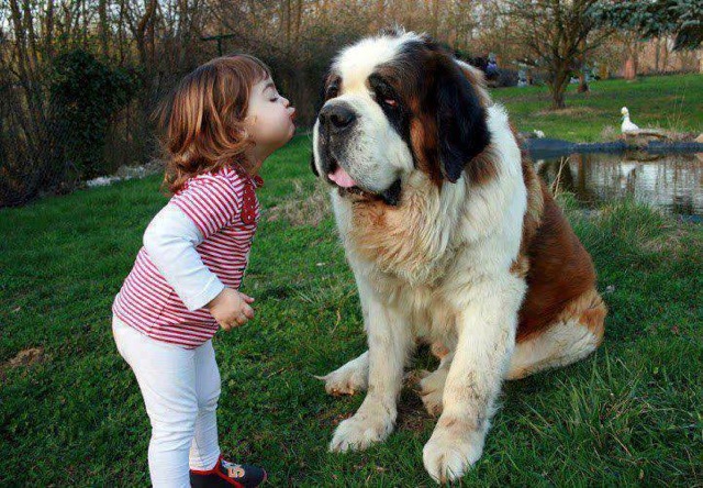 baby-kiss-dog