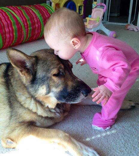 baby-kiss-dogg
