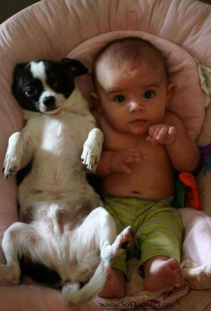 baby-sharing