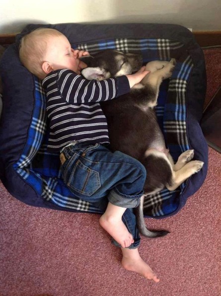 baby-sleeping-w-dog