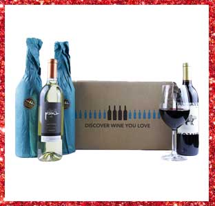Bright Cellars wine, 2016 weeSpring holiday gift guide