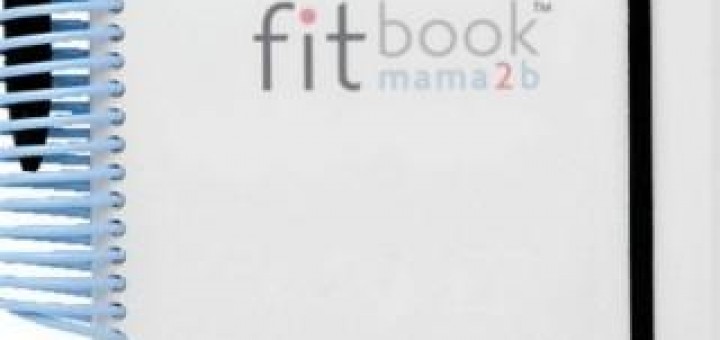 first trimester, pregancy, must haves, pregnancy products, fit book